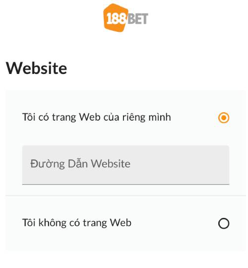 Thêm Thông Tin Website (Nếu Có)